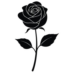 rose vector illustration