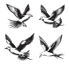 black Vector Silhouette of a Flying Long-tailed Skua on White Background