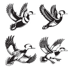 4 set of Vector Silhouette of a Flying Maned Duck on White Background