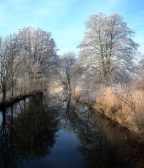 Frosted tree at the river Paar