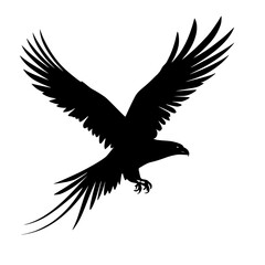 Fototapeta premium eagle on white silhouette white background 