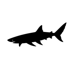 shark silhouette white background 