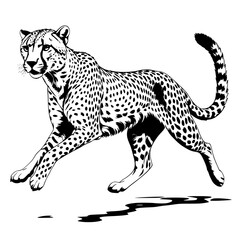 vector illustration of leopard silhouette white background 