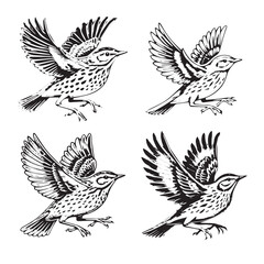 High-Quality Vector silhouette of Olive-backed Pipit on a White Background