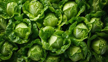 Fototapeta premium lettuce top view, AI generated