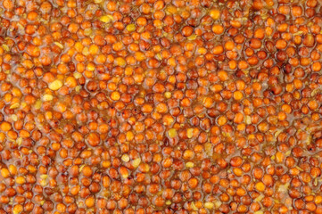 Wholegrain mustard condiment with brown mustard seeds texture background