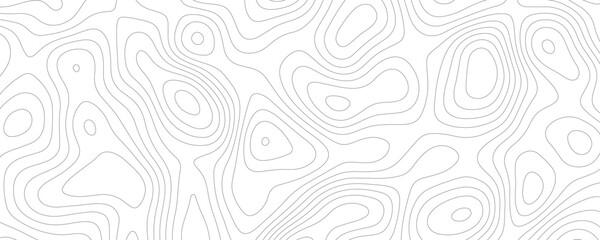 Lines Topographic contour lines vector map seamless pattern. White texture for your perfect interior. Abstract white paint floor stamped concrete surface pattern circle rough gray.	