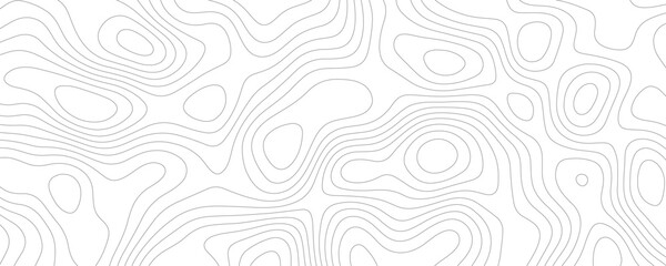 Lines Topographic contour lines vector map seamless pattern. White texture for your perfect interior. Abstract white paint floor stamped concrete surface pattern circle rough gray.	