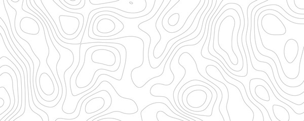 Lines Topographic contour lines vector map seamless pattern. White texture for your perfect interior. Abstract white paint floor stamped concrete surface pattern circle rough gray.	