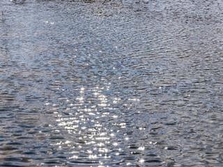 川のみなもの煌めき04