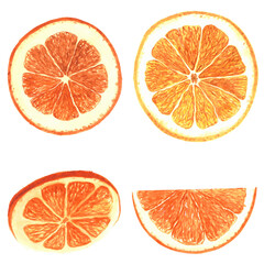 Watercolor set of orange slices 