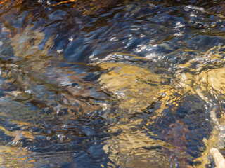 川の水の流れアップ25