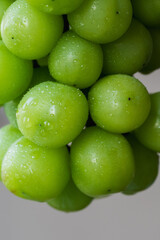 close up of green grapes with water
