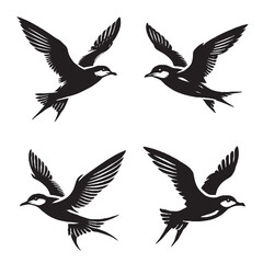 4 set of black Vector Silhouette of a Flying Manx Shearwater on White Background
