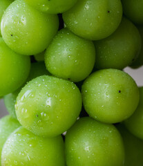 close up of green grapes with water
