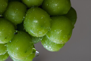 close up of green grapes with water
