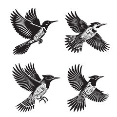 detailed black  Vector Silhouette of a Flying Northern Flicker on White Background