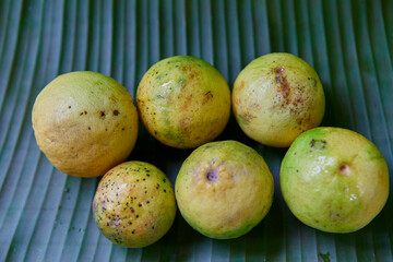 Fresh lime on green leaf