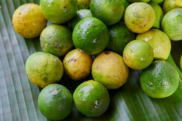 Fresh lime on green leaf