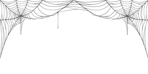 Spider web line art vector eps