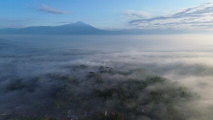 Drone point of view flying over the fog over the forest and trees with the sunrise at golden hour and hills in the morning in the background