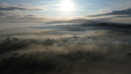 Drone point of view flying over the fog over the forest and trees with the sunrise at golden hour and hills in the morning in the background