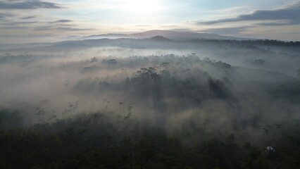 Drone point of view flying over the fog over the forest and trees with the sunrise at golden hour and hills in the morning in the background