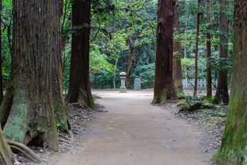 Obraz premium 鹿島神宮の要石までの道