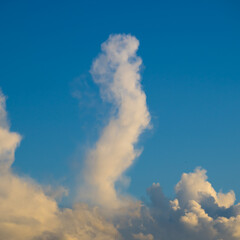 Fototapeta premium Bizarre vertical cloud in blue sky