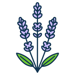 lavender flower nature plant beauty flora flat color vector illustration template design