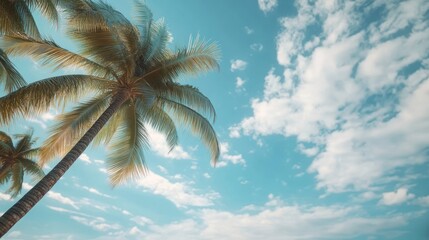 Stunning Palm Trees Against a Blue Sky with Clouds
