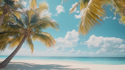 Serene Tropical Beach Scene with Palm Trees and Turquoise Water
