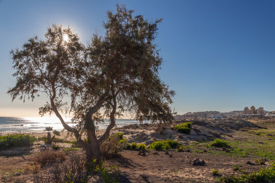 Vega Baja del Segura - Torrevieja - Momentos en la Playa de la Mata en la pedan&iacute;a de Torrelamata