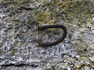 A rusty hook on a rock with moss growing on it