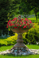 A flower pot with red flowers in the middle of a garden