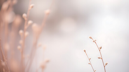 Obraz premium close up of branches