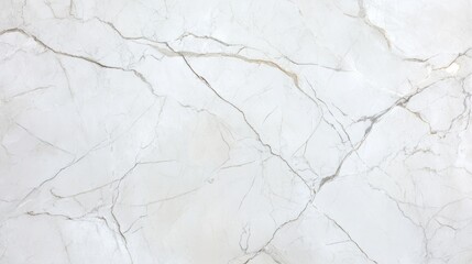 Sleek white marble surface with delicate gray veining, showcasin