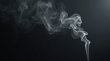 Obraz premium smoke on black background