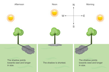 The shadow of tree during daytime. Change in shape and direction of shadow.