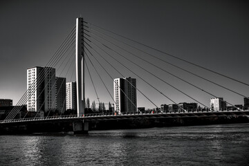 Pont a Hauban, Nantes avec immeubles derrière
