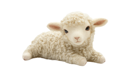 Soft toy lamb on transparent background 