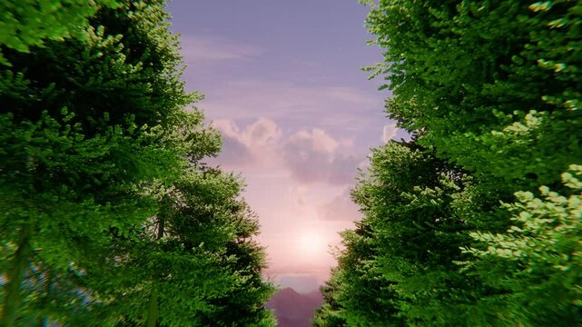 Road through the forest. Green beautiful trees. Alley, path towards the sun. 4K professional video