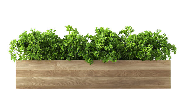 Fresh green herbs arranged in a wooden planter, showcasing vibrant foliage and lush texture isolated on white background and transparent background. - Powered by Adobe