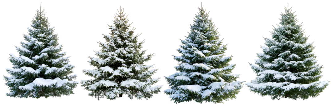 Four Snow-Covered Evergreen Trees Isolated on Black Background - Winter Holiday Design Element set isolated on transparent background - Powered by Adobe