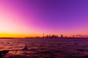 トロント夕暮れの街並み