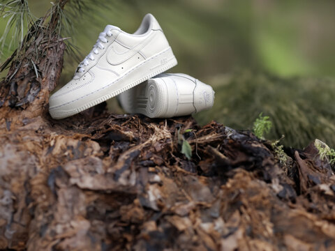 Nike Air Force One in the forest