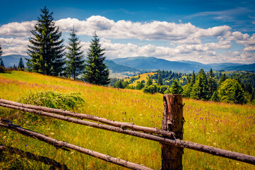 Superb summer view of Carpathian mountains, Ukraine, Europe. Magnificent morning scene of mountain pasture. Beauty of countryside concept background.