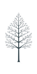 Stylized Tree Illustration Showing Branch Structure on transparent background, cut out, PNG 3D Digital Art.