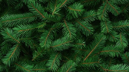 Seamless Green Background Featuring Lush Christmas Fir Tree Foliage for Festive Designs and Holiday Themes