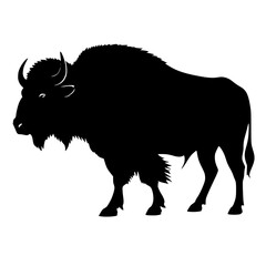 buffalo illustration silhouette